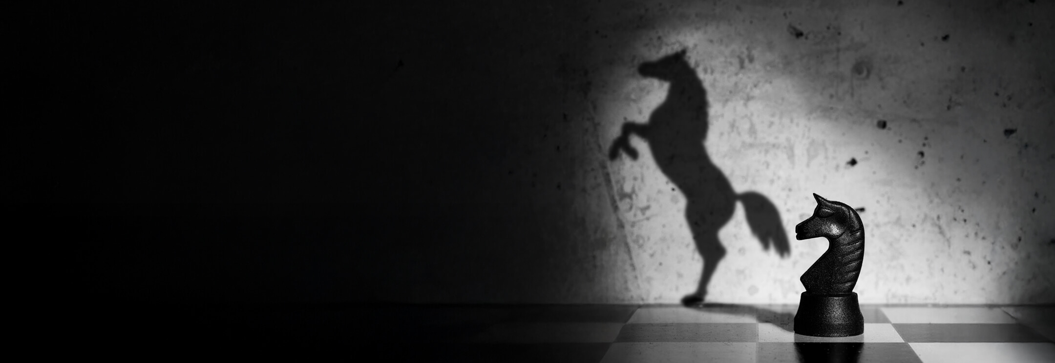 Symbolfoto Pferd im Schatten – BOS Projektmanagement GmbH
