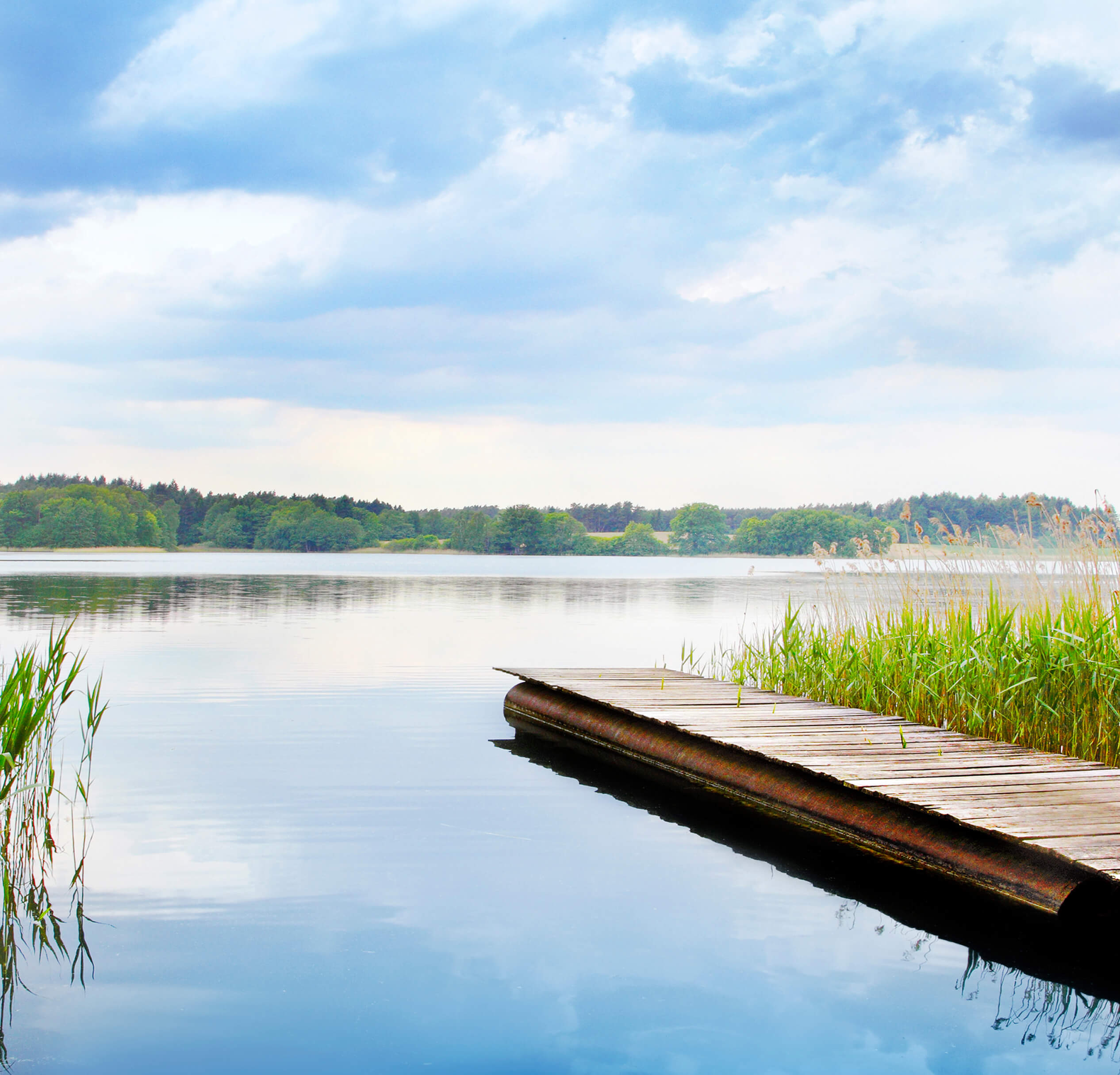 Seeblick Naturaufnahme – BOS Projektmanagement GmbH